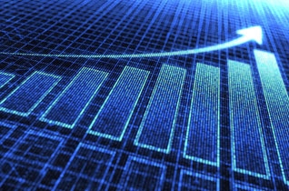 ��Ӯ����