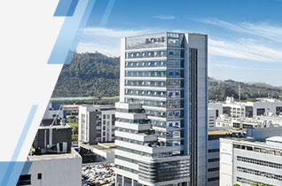 ��Ӯ����