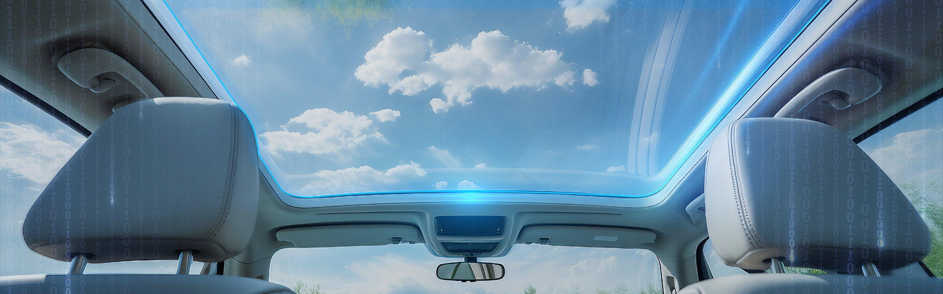 ��Ӯ����