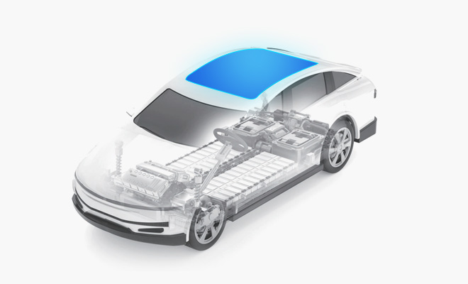 ��Ӯ����