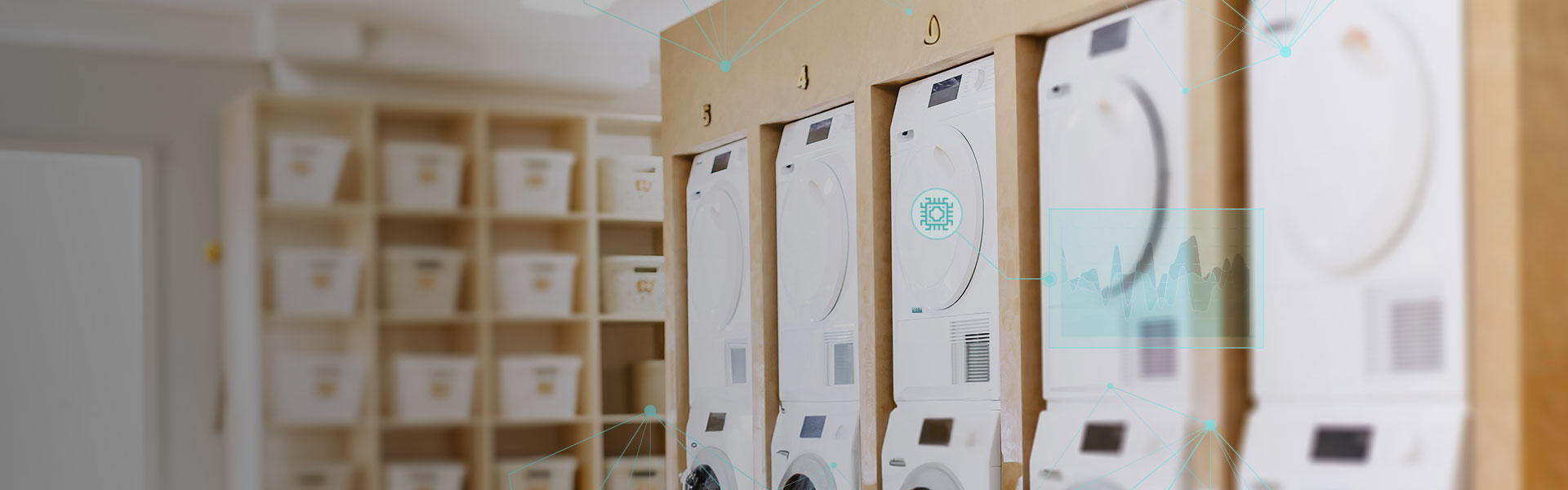 ��Ӯ����