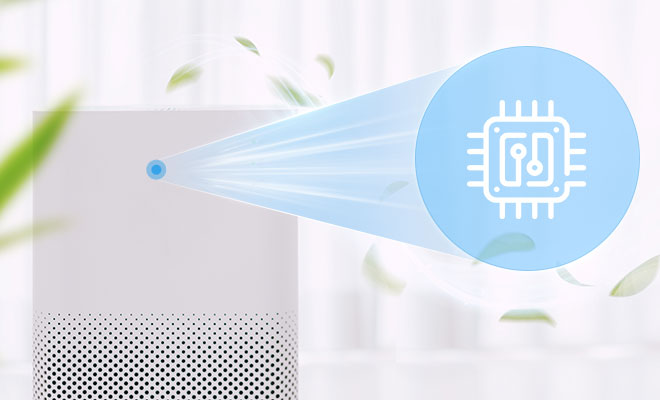 ��Ӯ����