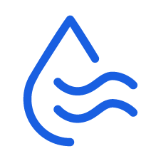 ��Ӯ����