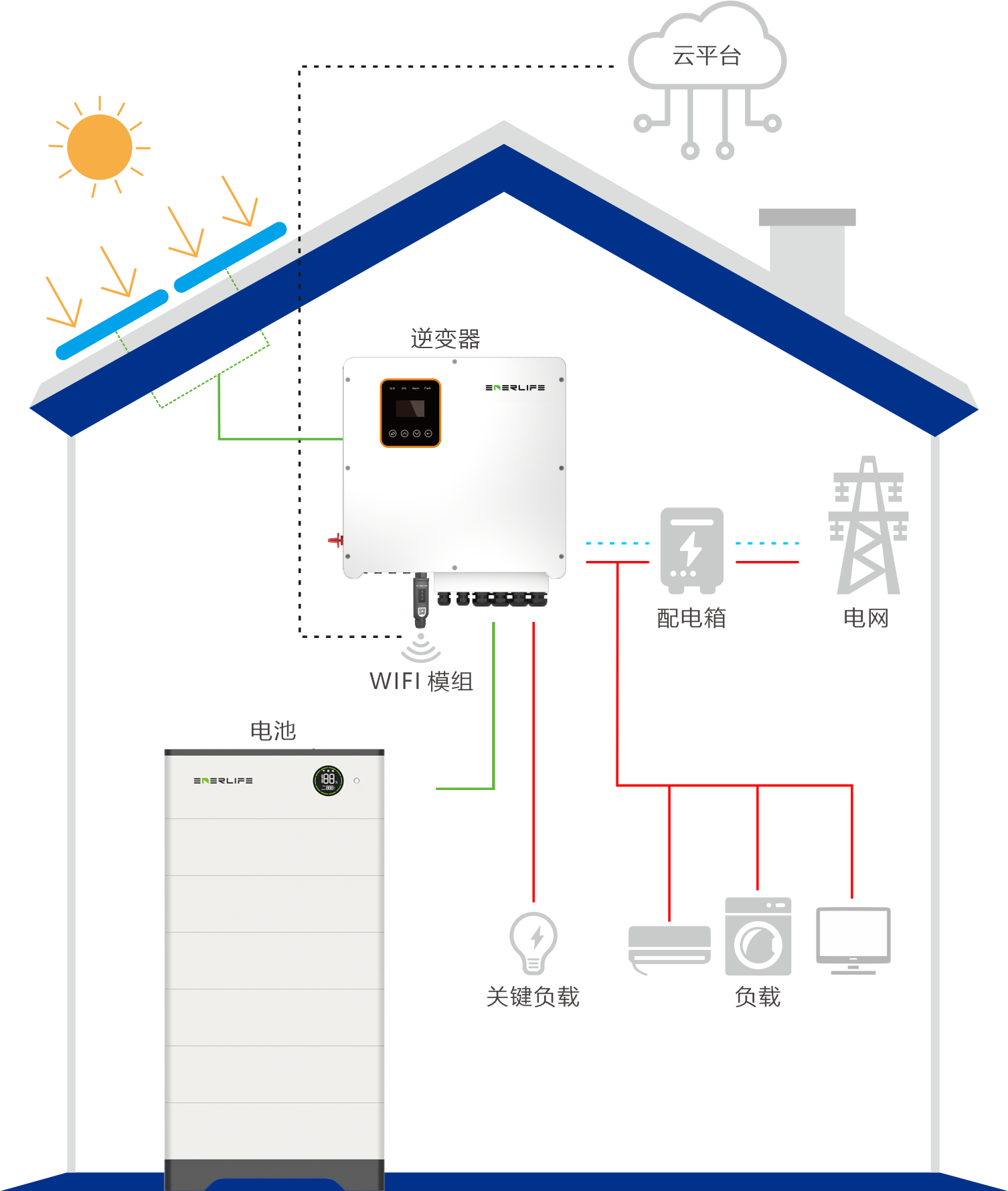 ��Ӯ����