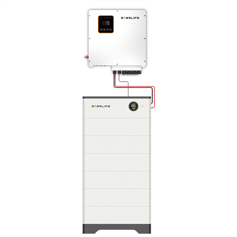 ��Ӯ����