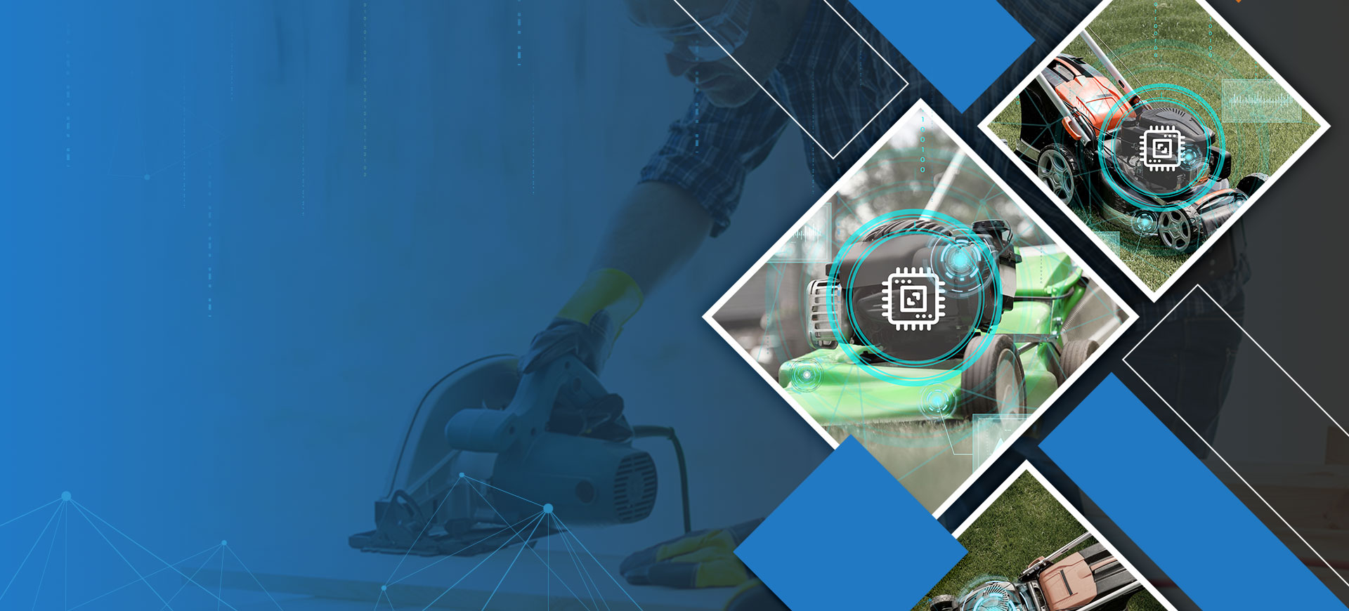 ��Ӯ����