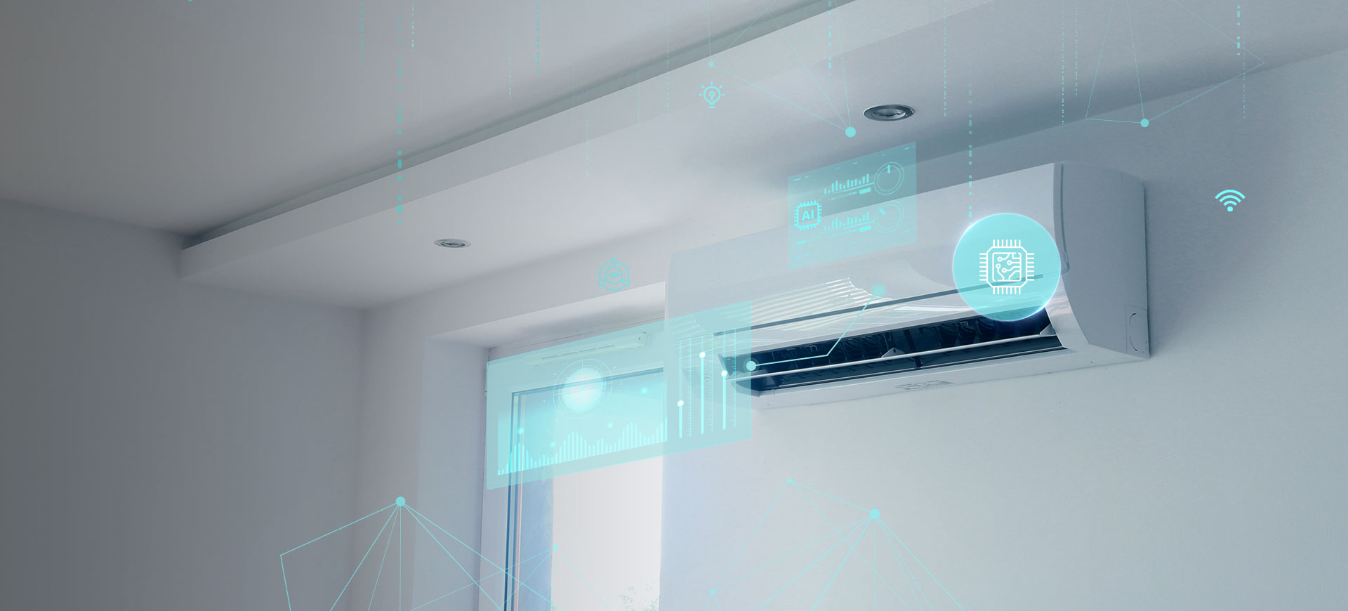 ��Ӯ����